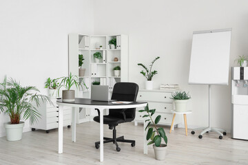 Interior of light office with green plants, shelf unit and workplace