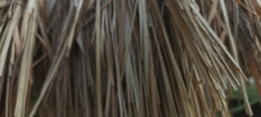 Natural blur background. Natural brown background that is out of focus