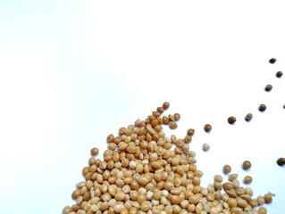 millet seeds on a white background. Millet seeds come from the millet plant, a type of cereal that has small seeds and is classified as a grass plant.