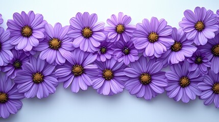 Fototapeta premium Purple Flowers Border on White Background