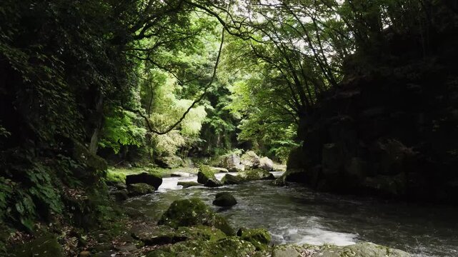 黄牛の滝。竹田市。