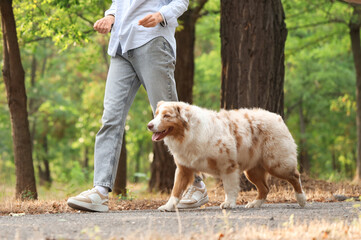 Naklejka premium Young woman training her cute Australian Shepherd dog in park