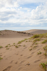 秋の鳥取砂丘の風景 鳥取県 鳥取砂丘