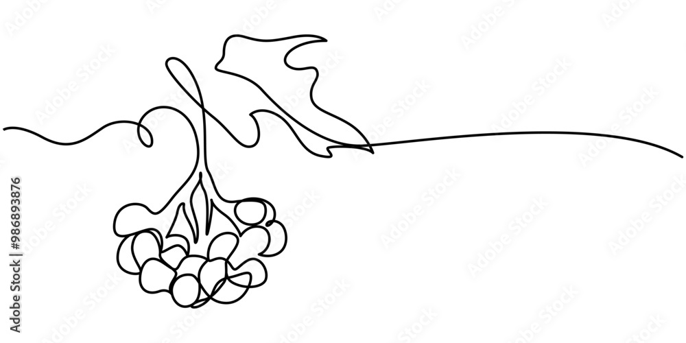 Poster red viburnum simple color vector illustration. ukrainian berry. one continuous line art drawing of r