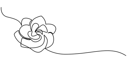 One continuous drawing line. Printed decorative poster with the overall concept of the peony flower. For wall home decor, peony flower in line art. isolated vector on white background. Element © Line emotion