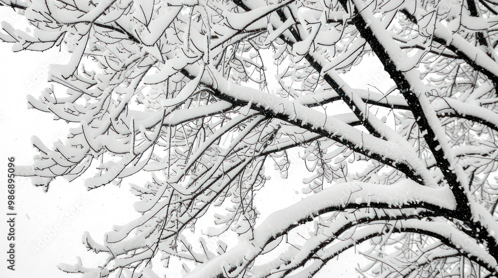Aufkleber close-up of tree branches heavy with snow, highlighting the delicate and intricate patterns.