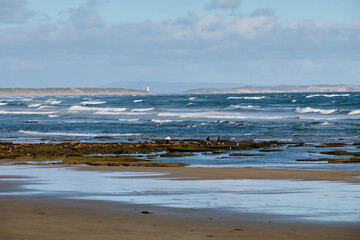 Low tide on the beach - Ocean Grove, Victoria, Australia