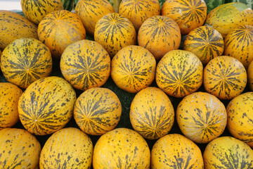 Experience a Colorful Display of Melons at the Vibrant Local Market This Summer Season