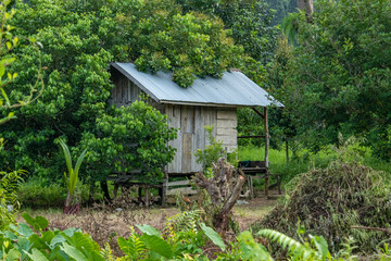 A small hut in the middle of a plantation to rest in the middle of the Indonesian forest.