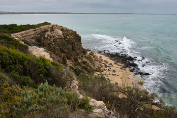 View from Barwon Heads Bluff - Barwon Heads, Victoria, Australia