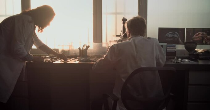 Mature microbiologist analyzes fossil sample using microscope and laptop. Female scientist examines bones of ancient human or dinosaur skeleton. Modern archaeological lab illuminated by sunset light.