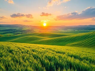 Obraz premium A breathtaking sunset over rolling green hills, with a field of vibrant wheat in the foreground.