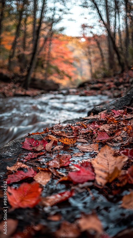 Poster close-up of a stream flowing through a forest with fallen leaves.