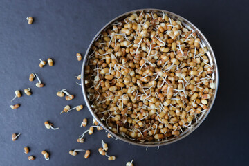 Freshly sprouted matki, also known as moth beans. Small brown legumes that are commonly used in Indian cuisine. Nutrient rich, packed with protein, fiber, vitamins. Ideal for salads, and curries