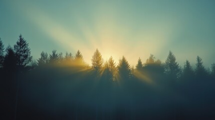 Tranquil Dawn in the Forest: First Light on a Peaceful Morning Sky
