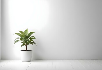 A potted plant with green leaves on a white table against a plain white wall.