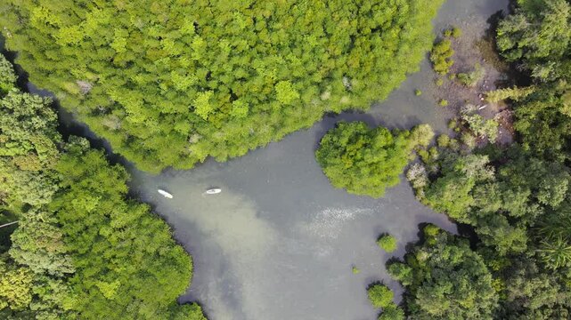 Top view of the forest with a small river where you can paddle a SUP board along the river.Water sports and nature activities