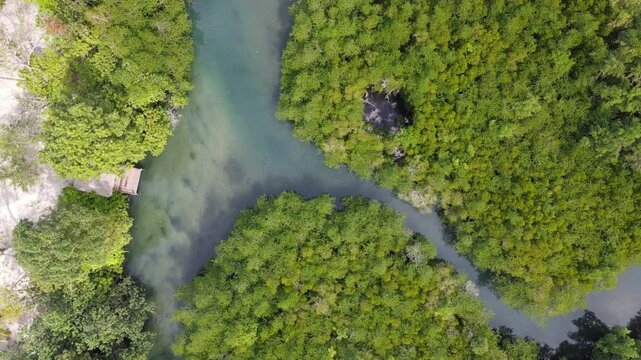 Top view of the forest with a small river where you can paddle a SUP board along the river.Water sports and nature activities