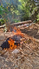 burning household waste