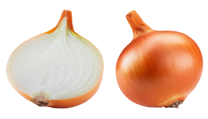 Set of onion isolated on white background