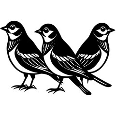 Birds Line Art Vector Illustration