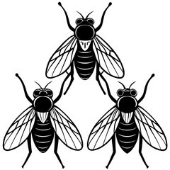 Pest Line Art Vector Illustration