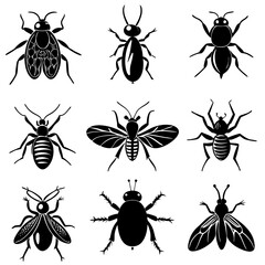 Pest Line Art Vector Illustration