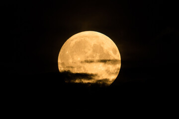 Beautiful bright and vivid landscape or background of large fool shiny romantic or horror Moon with craters in cloudy night sky 