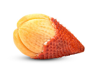 Fruit Salak isolated on transparent png