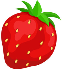 Fruit, Strawberry, Tropical Fruits, Illustration Hand drawn