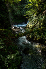 山梨県西沢渓谷の美しい流れ