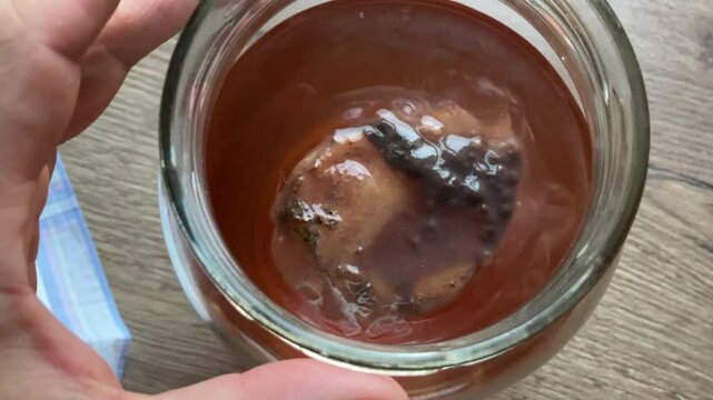Kombucha Drink with SCOBY Culture