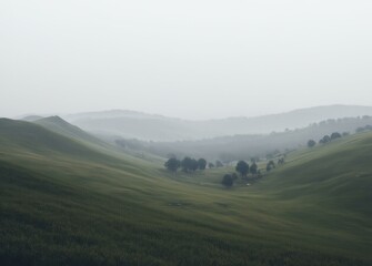 Obraz premium Overcast Day in the Cape Fold Belt with Muted Greens
