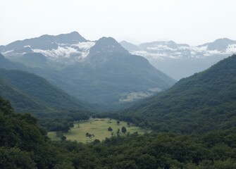 Fototapeta premium Cordillera Blanca at Midday with Vivid Green and White Tones