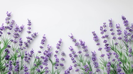 Naklejka premium Elegant Lavender Bouquet on a Light Background, Captured from a Top View for a Delicate Floral Touch