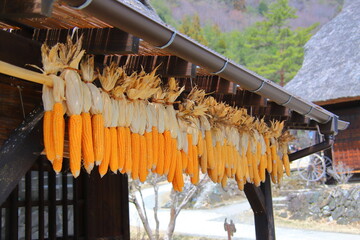 軒下に干したとうもろこし