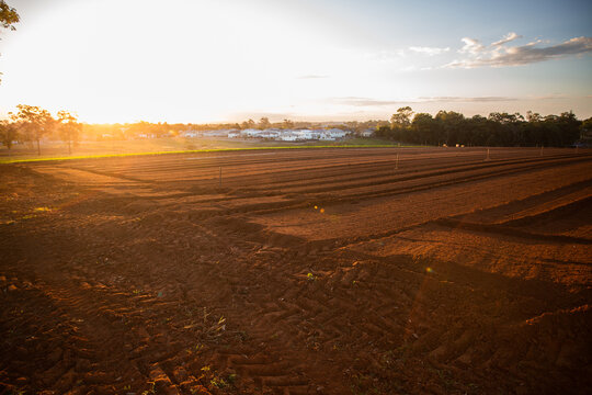 sunset over freshly plowed fields on a farm