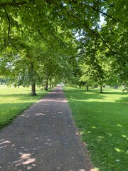 path in the park