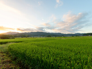 Obraz premium 朝焼けの空と明日香村の田園風景