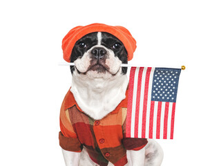 Charming puppy and American Flag. Close-up, indoors. Studio shot. Congratulations for family, loved ones, relatives, friends and colleagues. Pet care concept