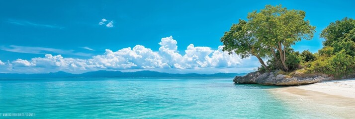  A sandy beach with a solitary tree on its edge, where water meets shore; above, a blue sky dotted with fluffy clouds