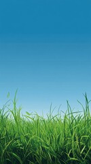 Fototapeta premium Lush green grass against clear blue sky