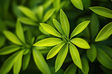 Obraz premium Enlivening green closeups to use as backgrounds, wallpaper or textured pics to inspire growth and connections , ai