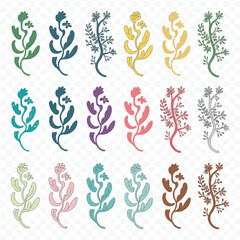 Fototapeta premium A collection Set of beautiful blooming wild flowers from the garden botanical chart Flowers floral pattern on transparent background