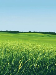 Fototapeta premium Green grass field under blue sky.
