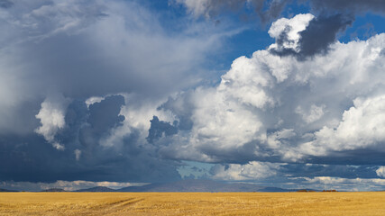 Dramatic storm clouds over a wide expanse of golden farmland