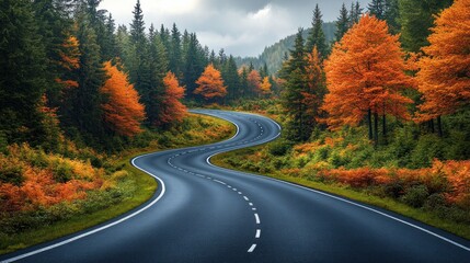 Fototapeta premium Winding Road Through Autumn Forest