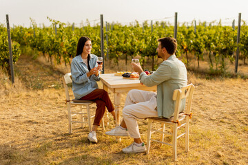 Romantic picnic in a sunlit vineyard featuring a couple enjoying wine and a gourmet platter among the vines during golden hour