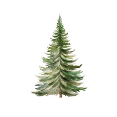 christmas tree isolated transparent background 