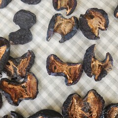 autumn leaves background